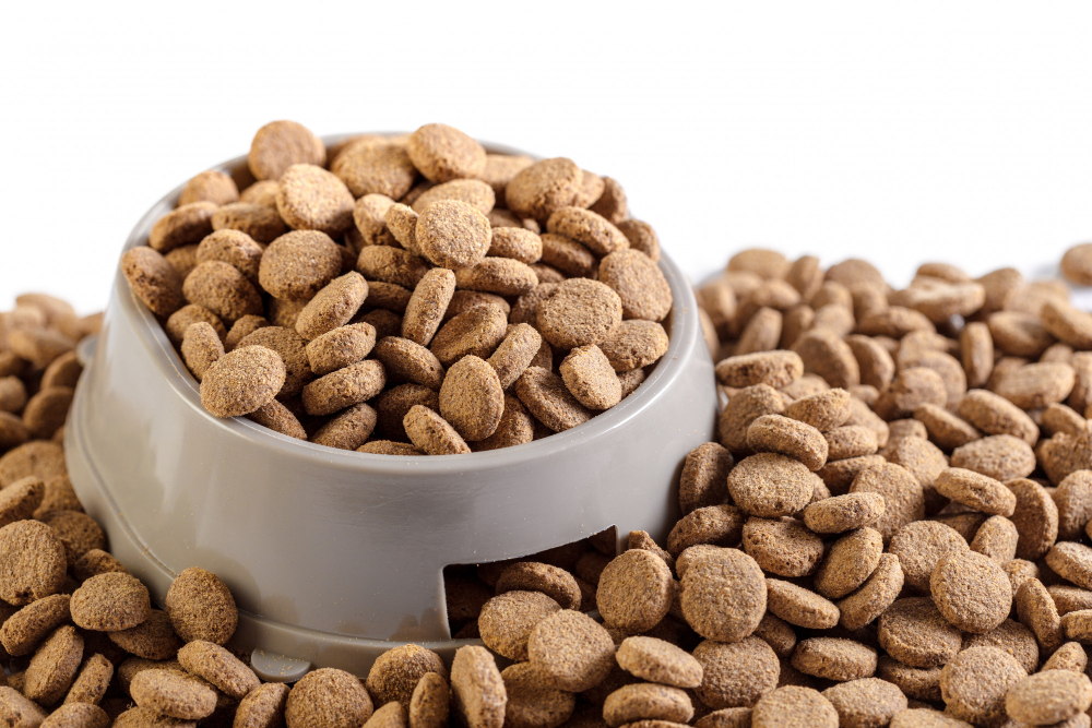 Ajuster les croquettes selon le profil du chien
