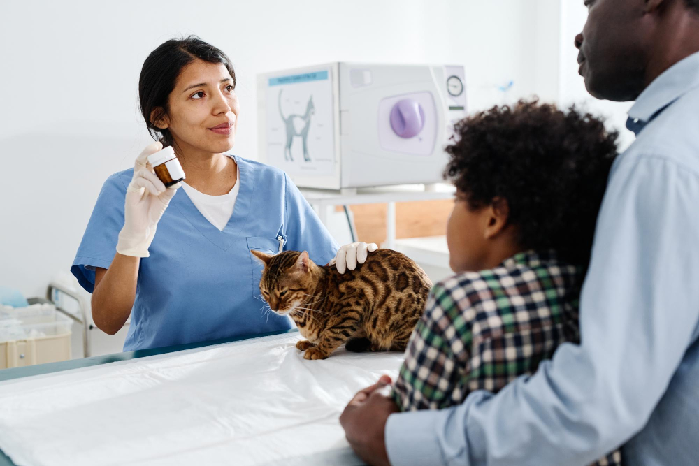 les critères qui aident à choisir la bonne clinique vétérinaire